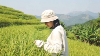 Cột mốc 1305 và 1297/4: Thiên đường cỏ lau miền biên giới