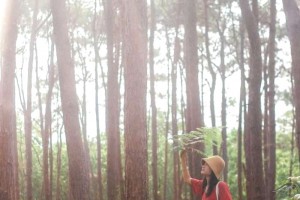 A Lưới, Huế: Vẻ đẹp hoang sơ, hùng vĩ và đầy mê hoặc của vùng cao